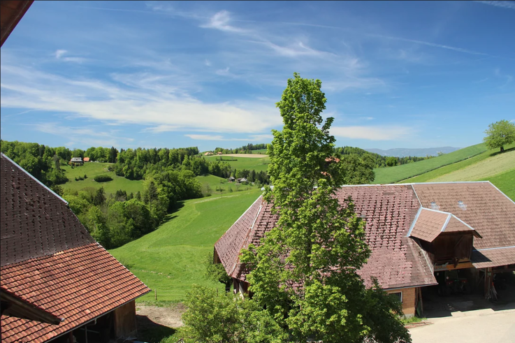 Hof Breitenwald 4