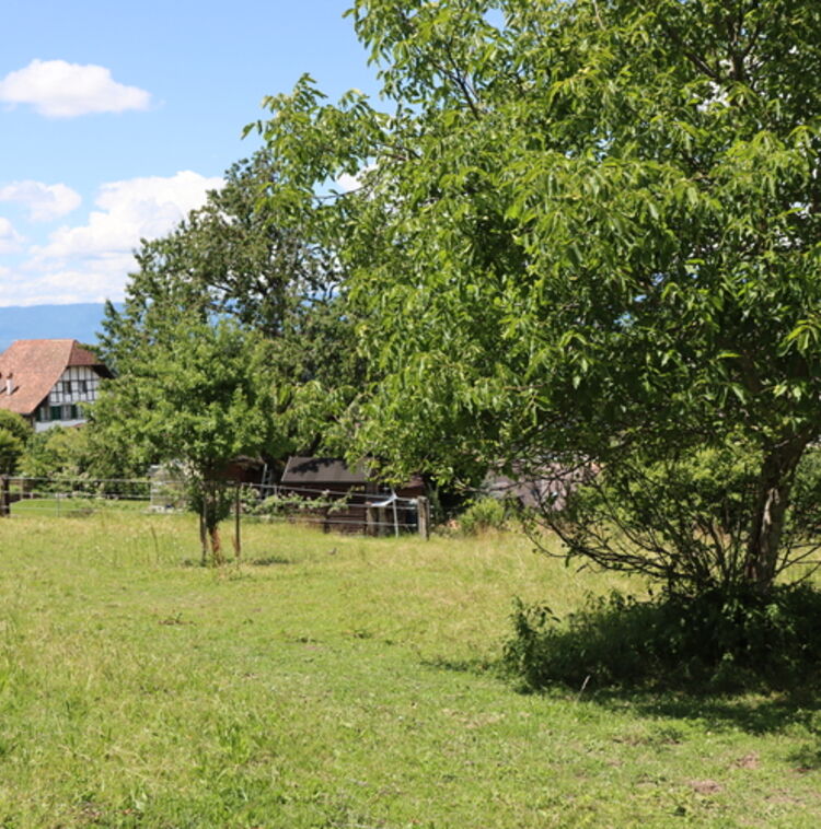 Bauernhof in Mühleberg