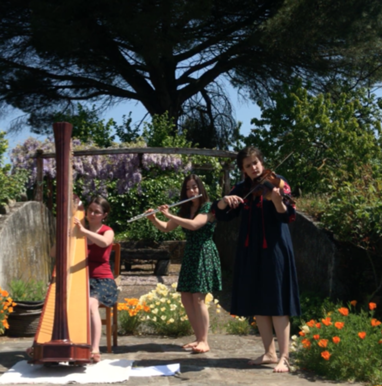 Privatkonzerte: sei mutig und entdecke frische Musik! 