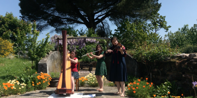 Privatkonzerte: sei mutig und entdecke frische Musik! 